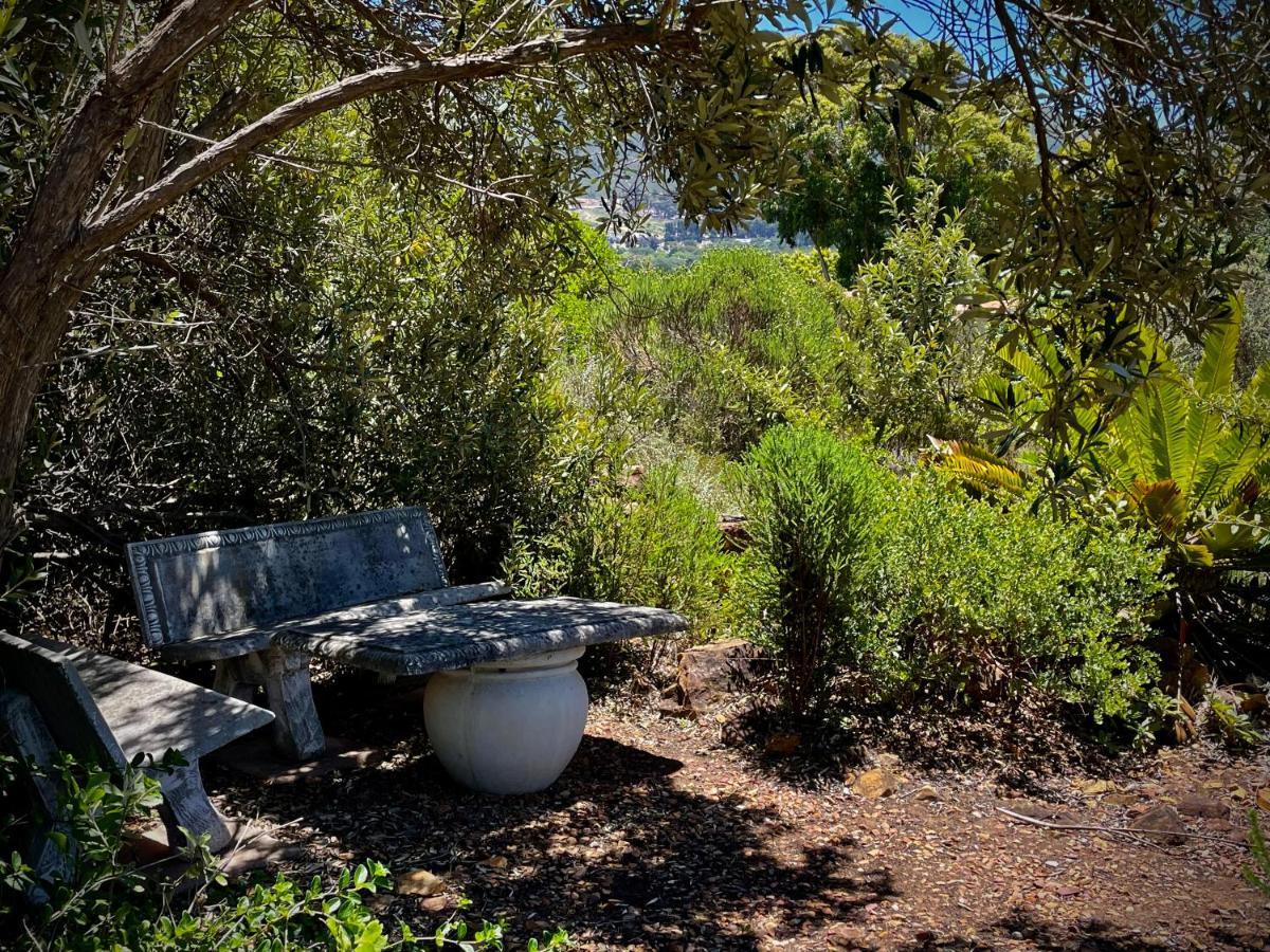 Windrose, Noordhoek, Sensationeller Meerblick Cape Town Exterior photo