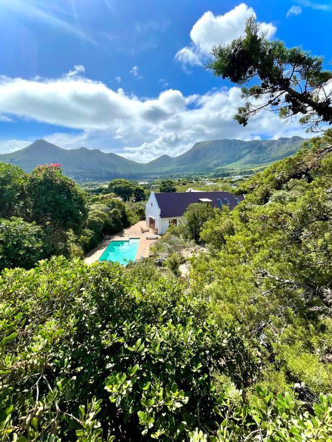 Windrose, Noordhoek, Sensationeller Meerblick Cape Town Exterior photo