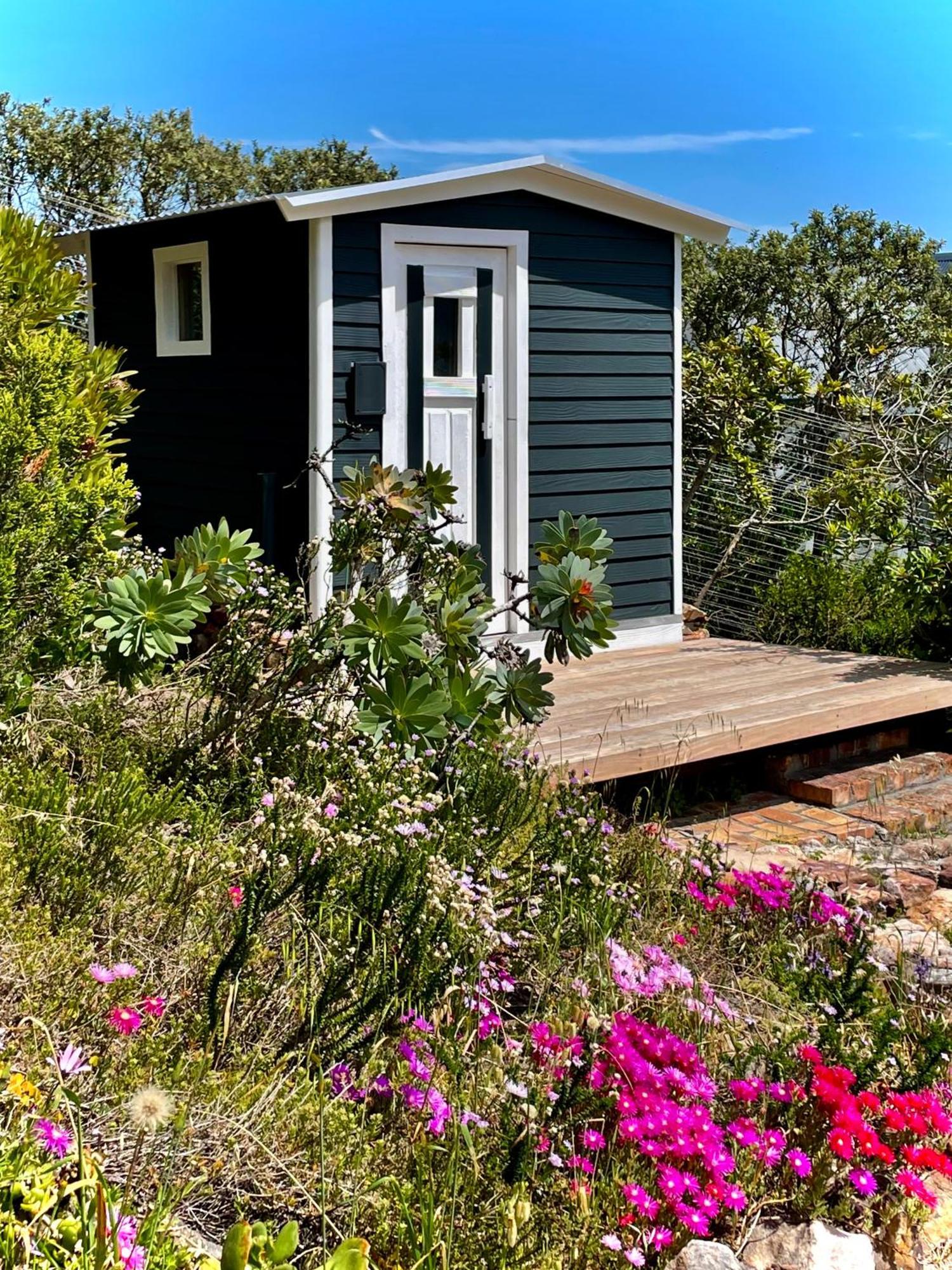 Windrose, Noordhoek, Sensationeller Meerblick Cape Town Exterior photo